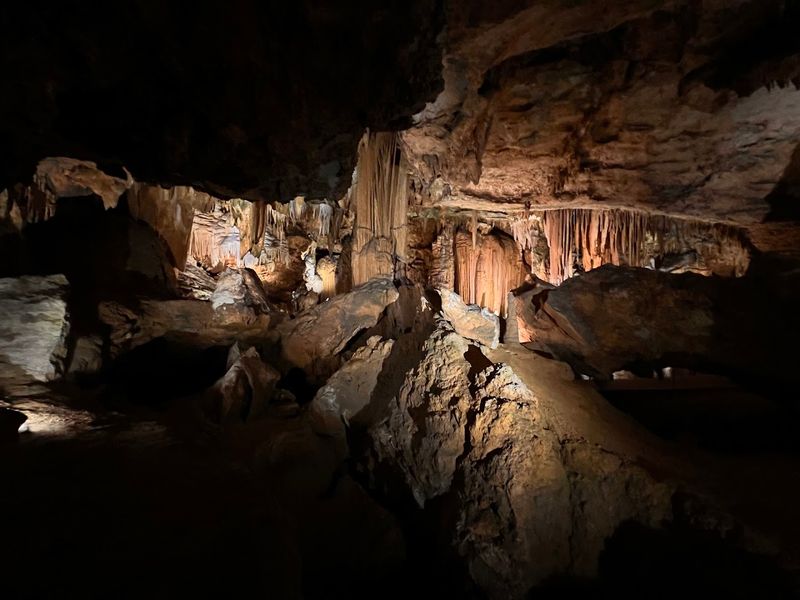 The Bat Population And Seasonal Cave Closures The Bat Population And Seasonal Cave Closures