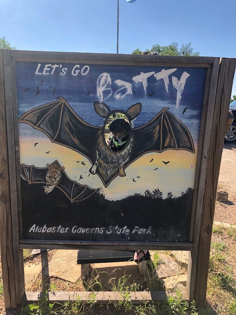 The Bats That Share This Underground World