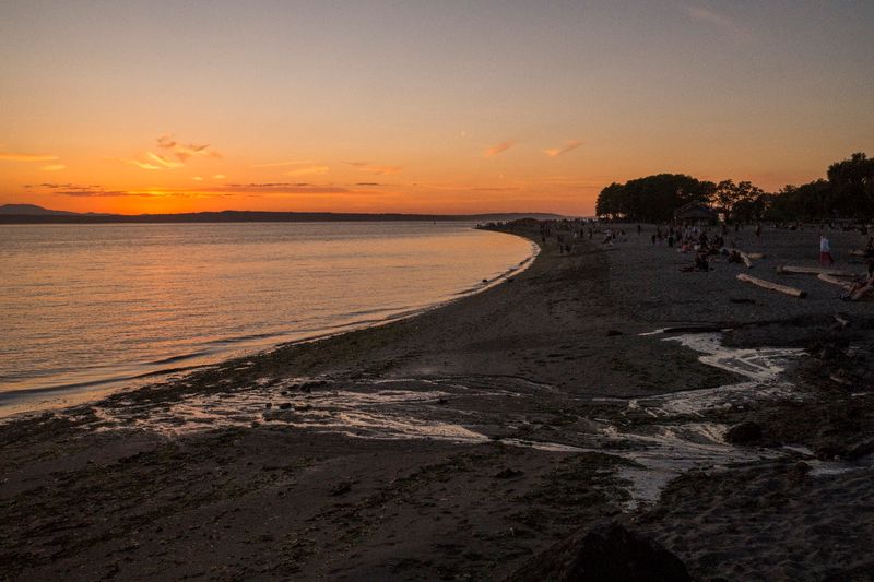 The Beach Bonfire Tradition That Defines Seattle Summers The Beach Bonfire Tradition That Defines Seattle Summers