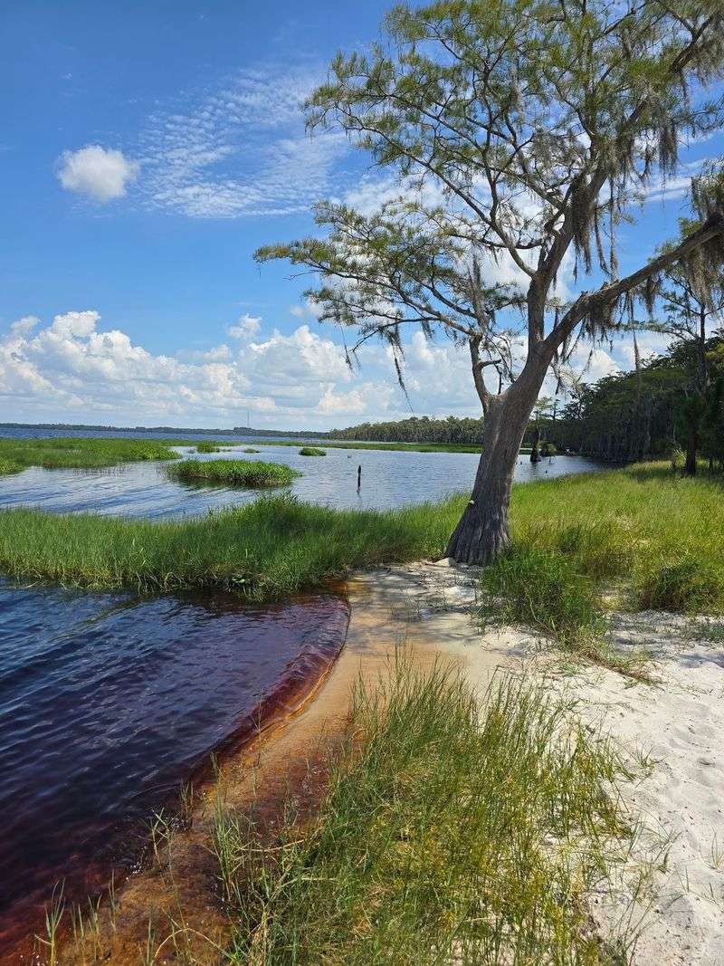 The Beach Is One Of The Only Swimmable Lakes In The Area The Beach Is One Of The Only Swimmable Lakes In The Area