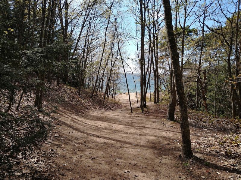 The Beach Is Three Quarters Of A Mile From The Parking Lot The Beach Is Three Quarters Of A Mile From The Parking Lot