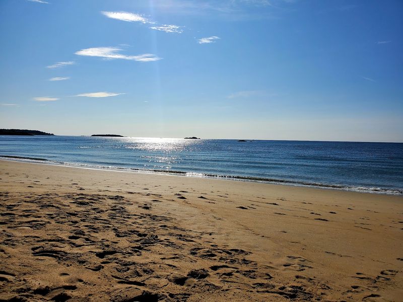 The Beach That Actually Makes Music The Beach That Actually Makes Music