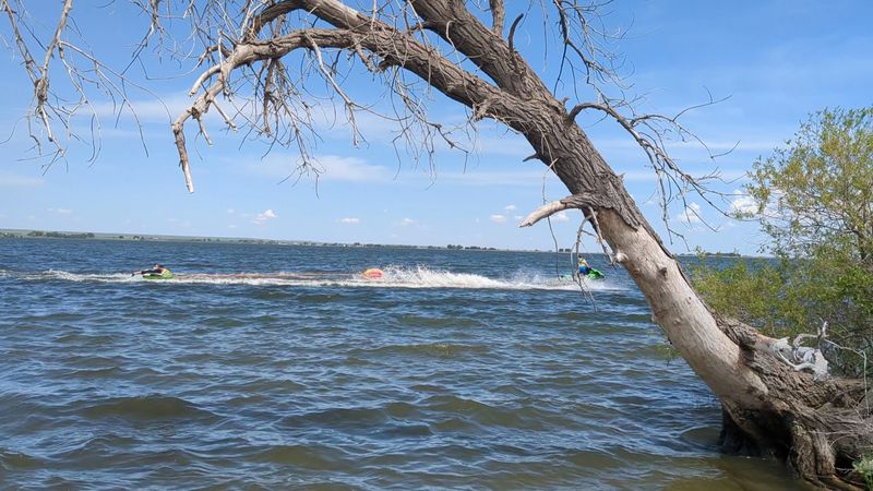 Swimming, Paddleboarding, and Floaties Are All Welcome