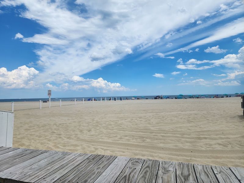 The Beach That Started It All