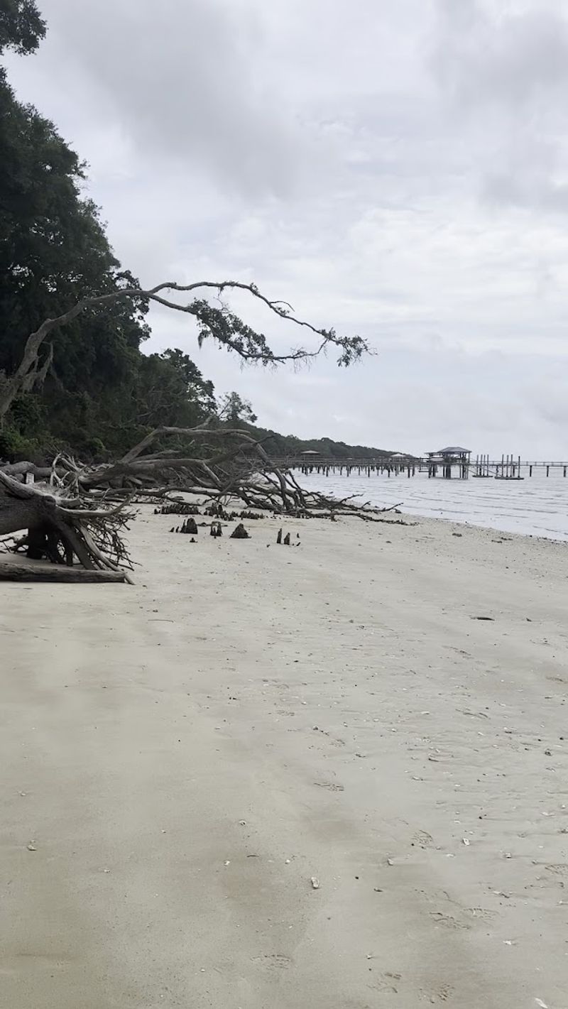 The Beach That Steals The Show