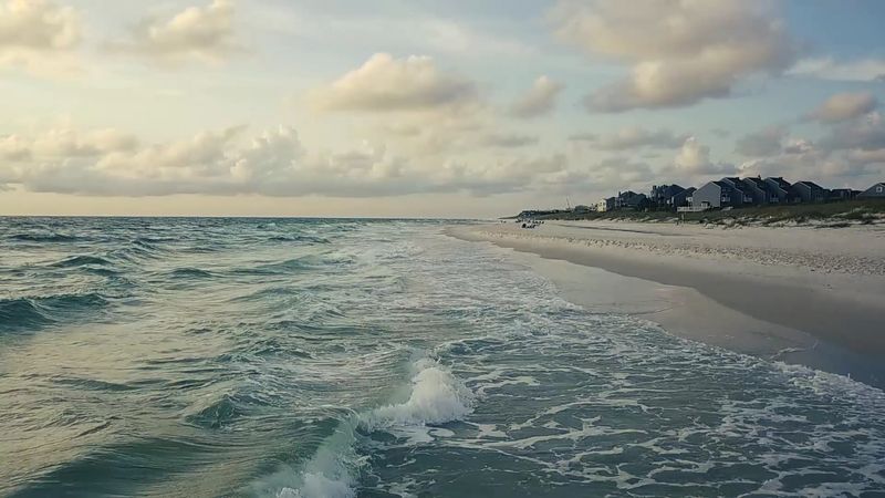 Crystal Clear Water Reveals Every Shell And Fish