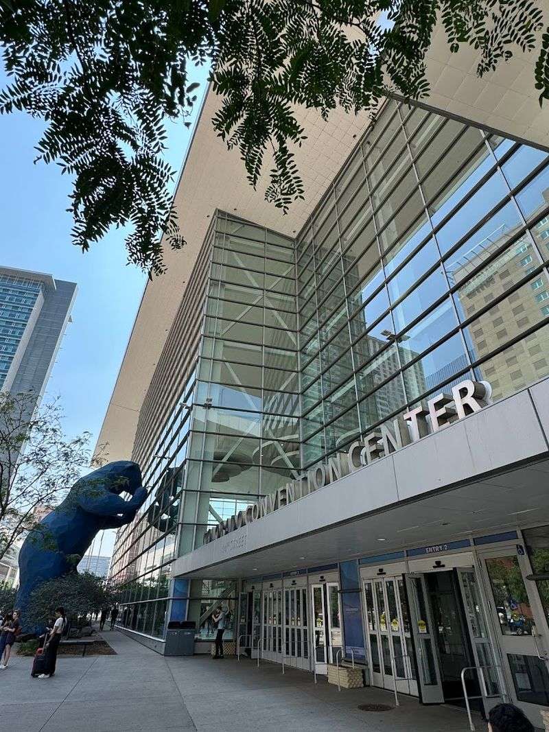 The Bear That Stopped Denver In Its Tracks
