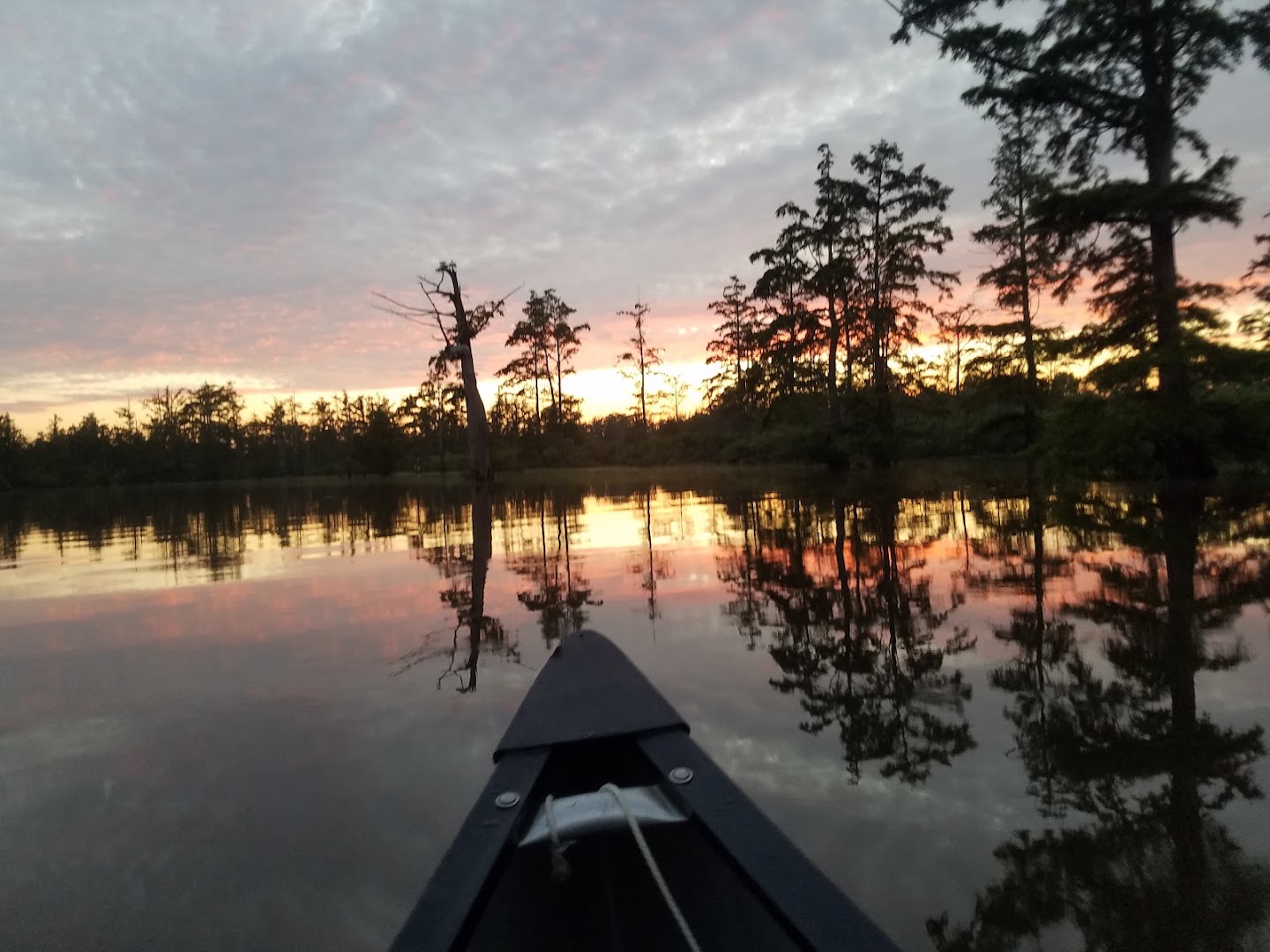 The Bellrose platform and Eagle Pond appeal The Bellrose platform and Eagle Pond appeal