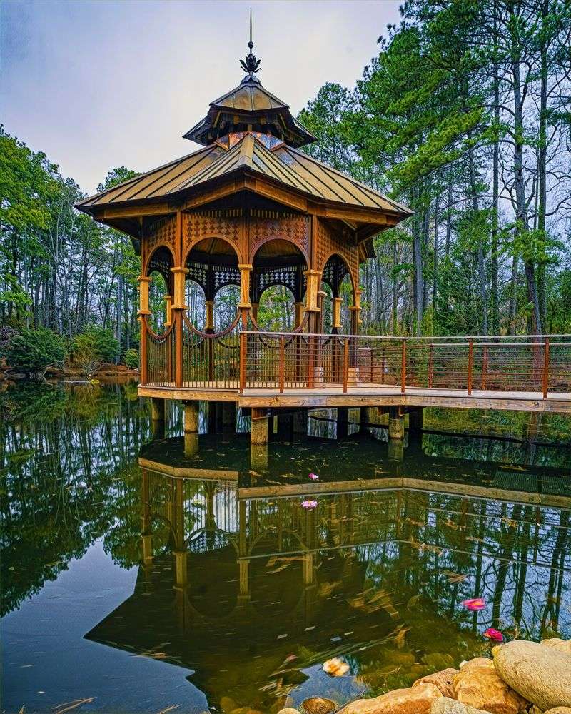 The Beloved Duck Pond And Its Turtle Friends