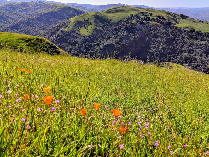 The Berryessa Valley Before It All Changed