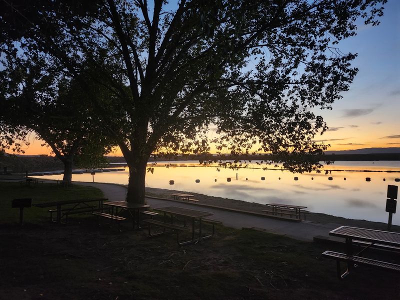 The Best Fall Plan Leaves Room For The Sky