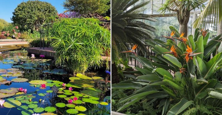 The Best Places To See Early Spring Blooms In Illinois This March