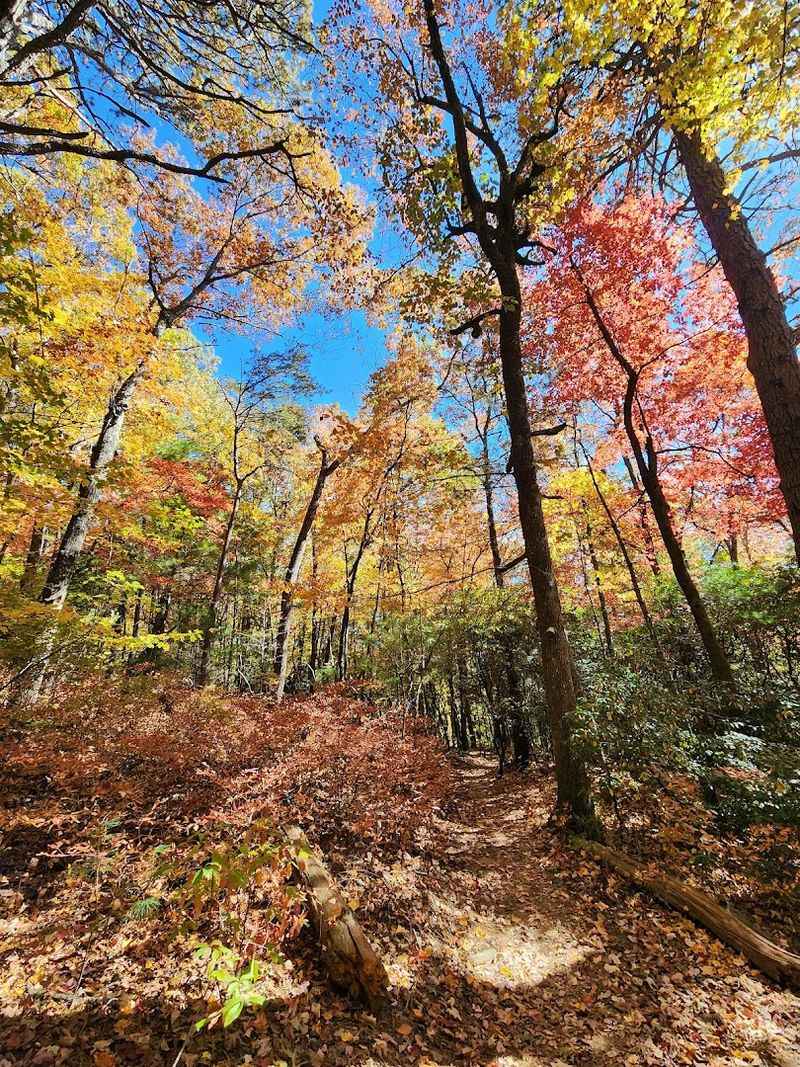 The Best Seasons To Make The Trip The Best Seasons To Make The Trip