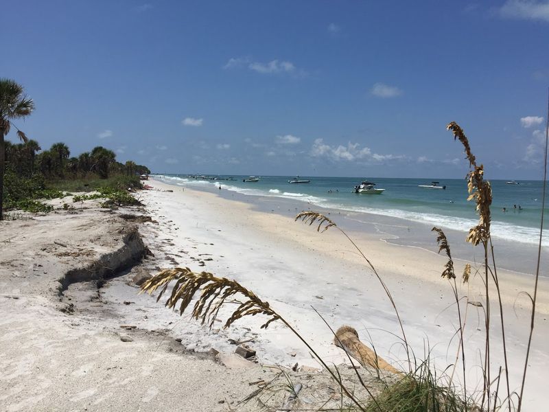 The Best Shell Hunting In Tampa Bay