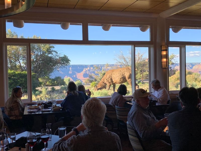 A Legendary Setting Inside Bright Angel Lodge