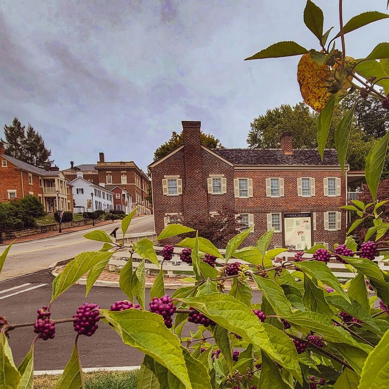 The Town Behind The Steak