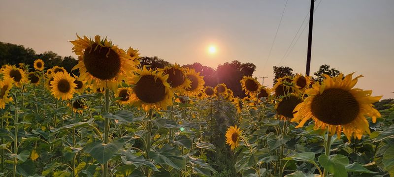 The Best Time Of Year To Plan Your Visit