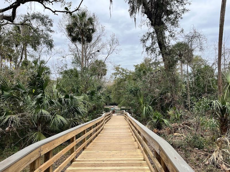 A Park With Deep Roots In Florida's Natural History