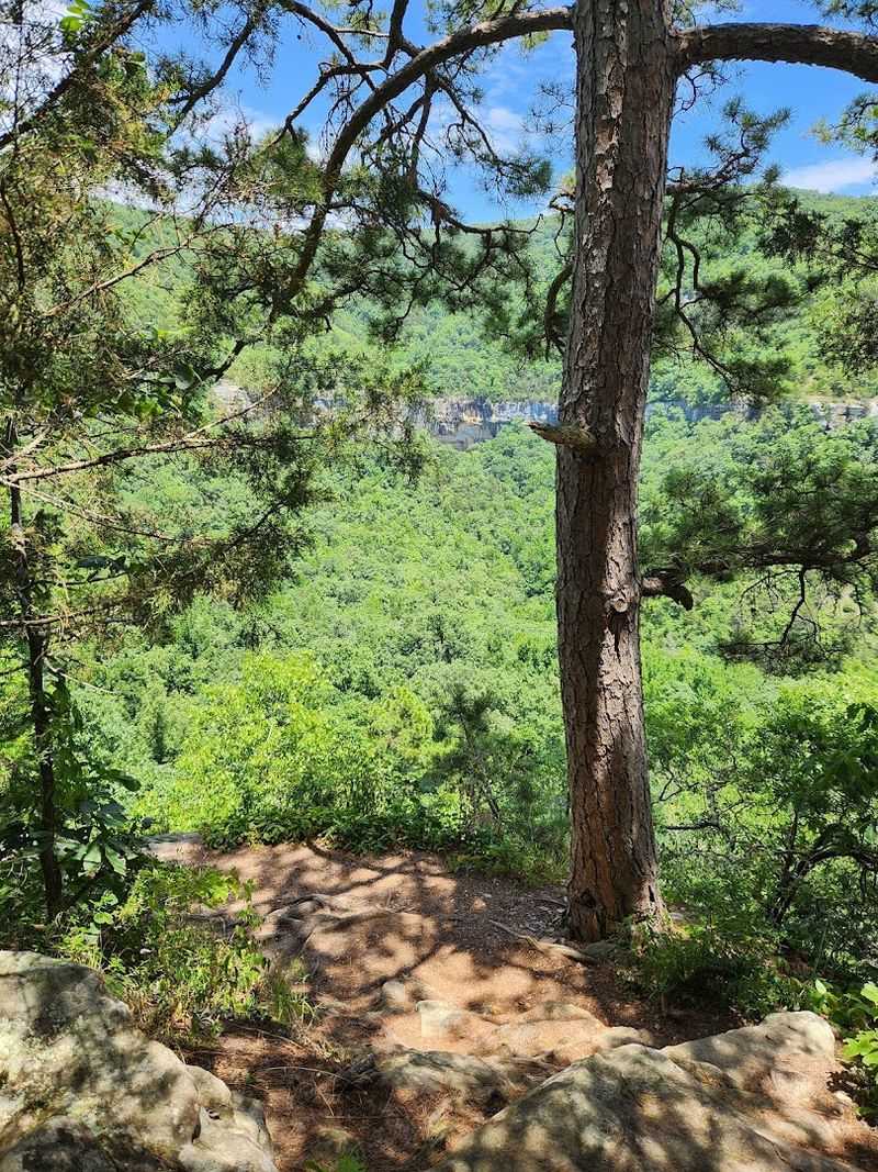 Where The Trail Begins For This Unforgettable Adventure