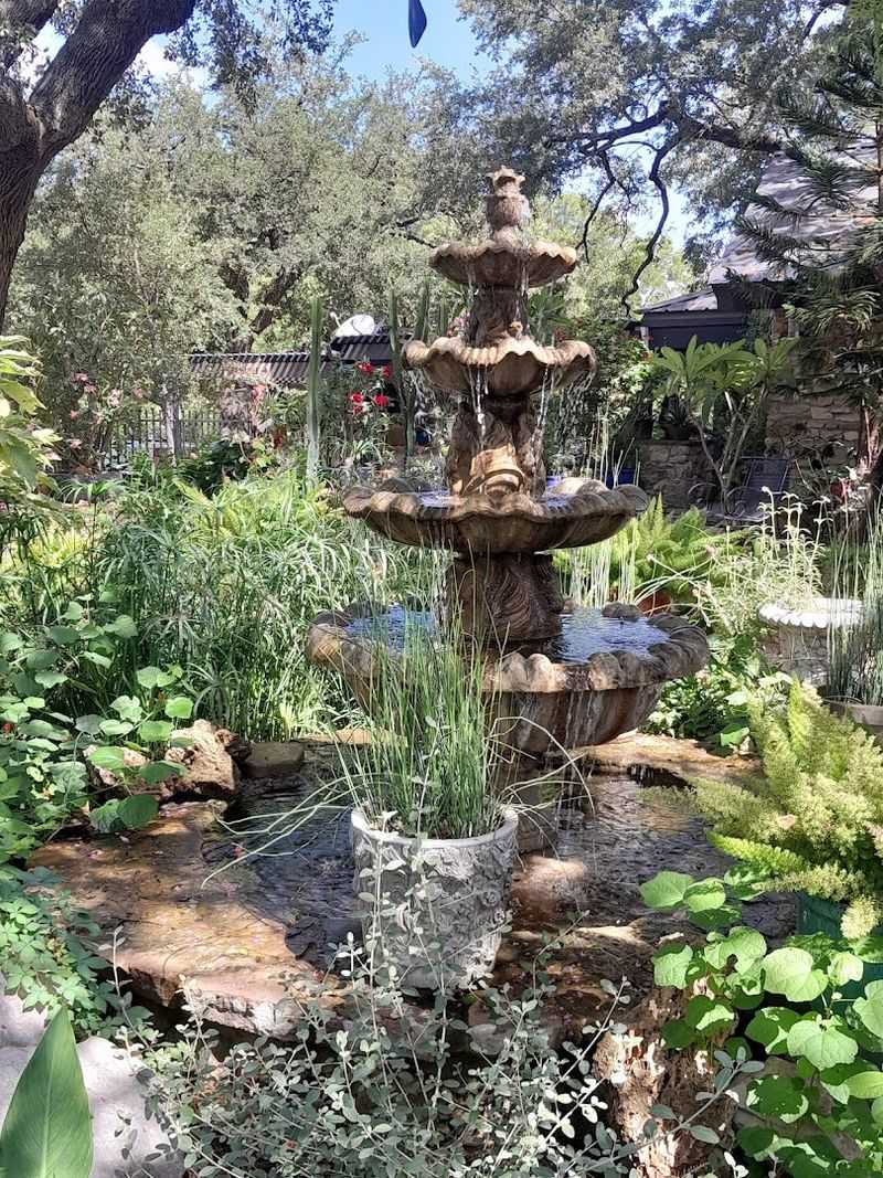 Why Krause Springs Stays With You Long After You Leave