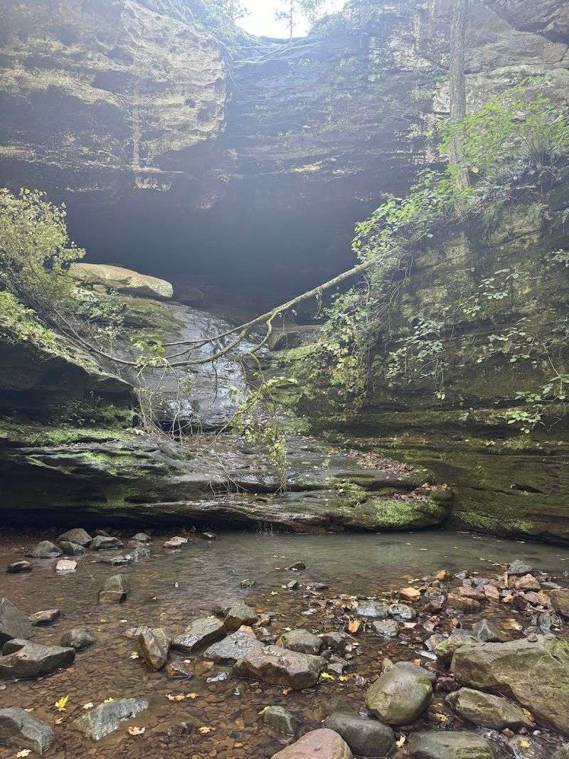 Ferne Clyffe State Park