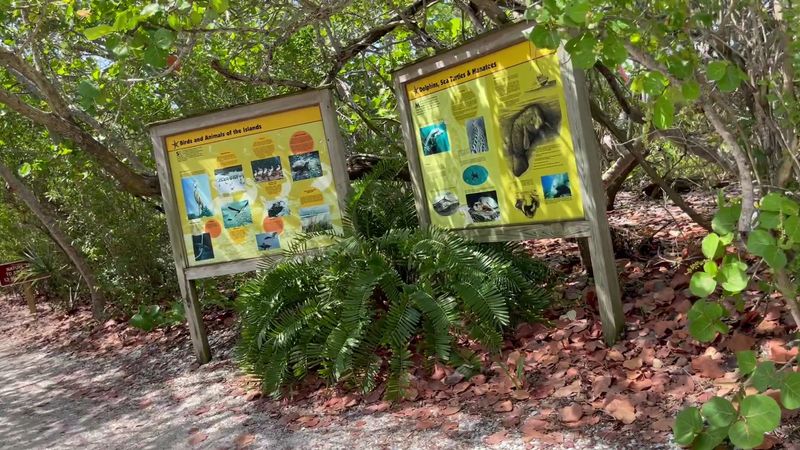 Rules, Regulations, And Responsible Fossil Hunting