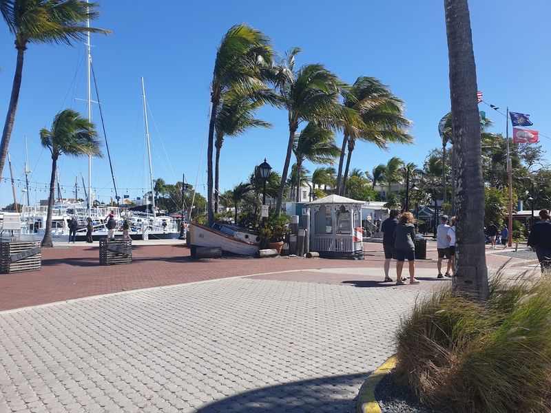 John Pennekamp Coral Reef State Park At Mile Marker 102