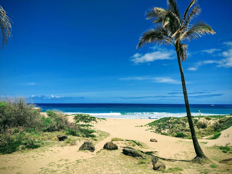 The Best Time To Visit Makes A Huge Difference The Best Time To Visit Makes A Huge Difference