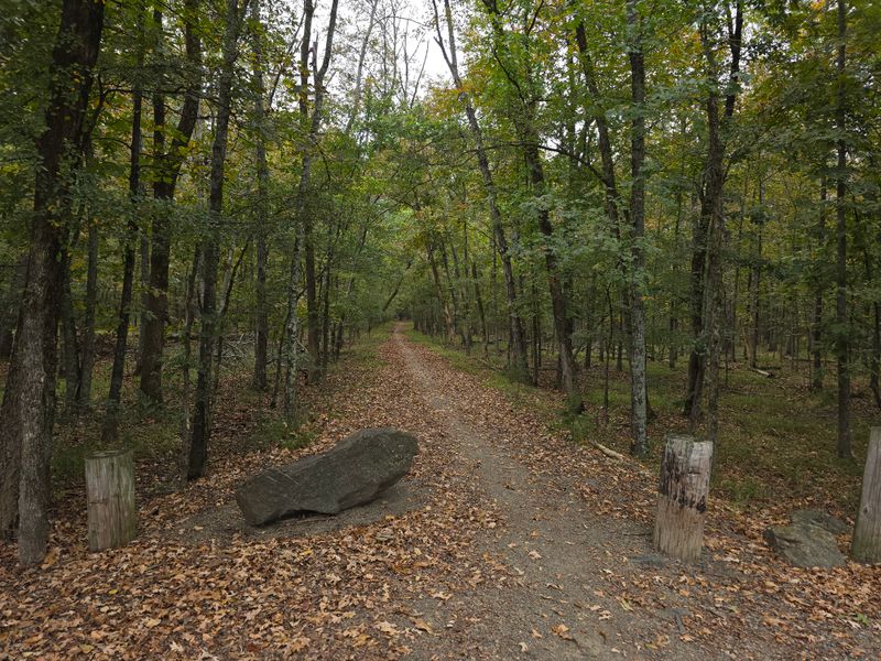 More Things To Explore Inside Burns Park