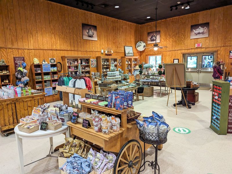 The Big And Fun Gift Shop The Big And Fun Gift Shop