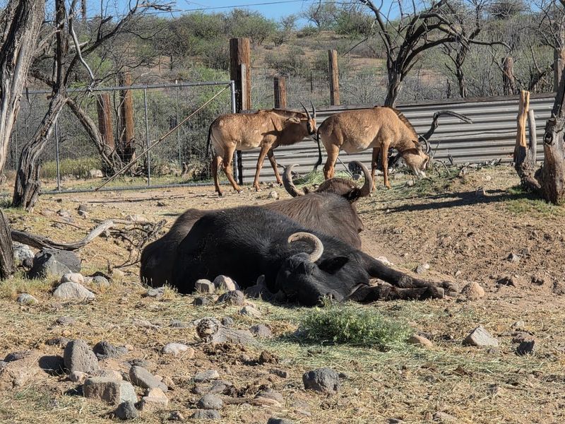 Perfect Arizona Location And Setting