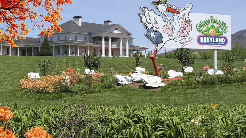 BabyLand General Hospital