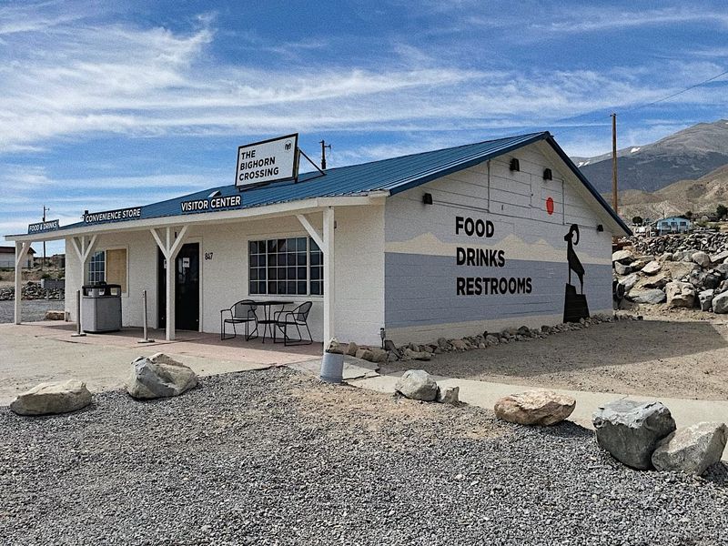 The Bighorn Crossing At Walker Lake