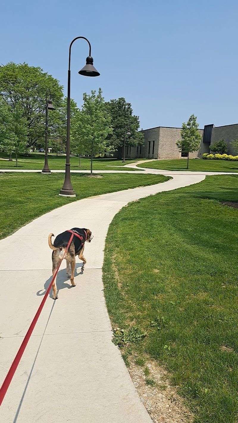 The Bike Path And Walking Trail