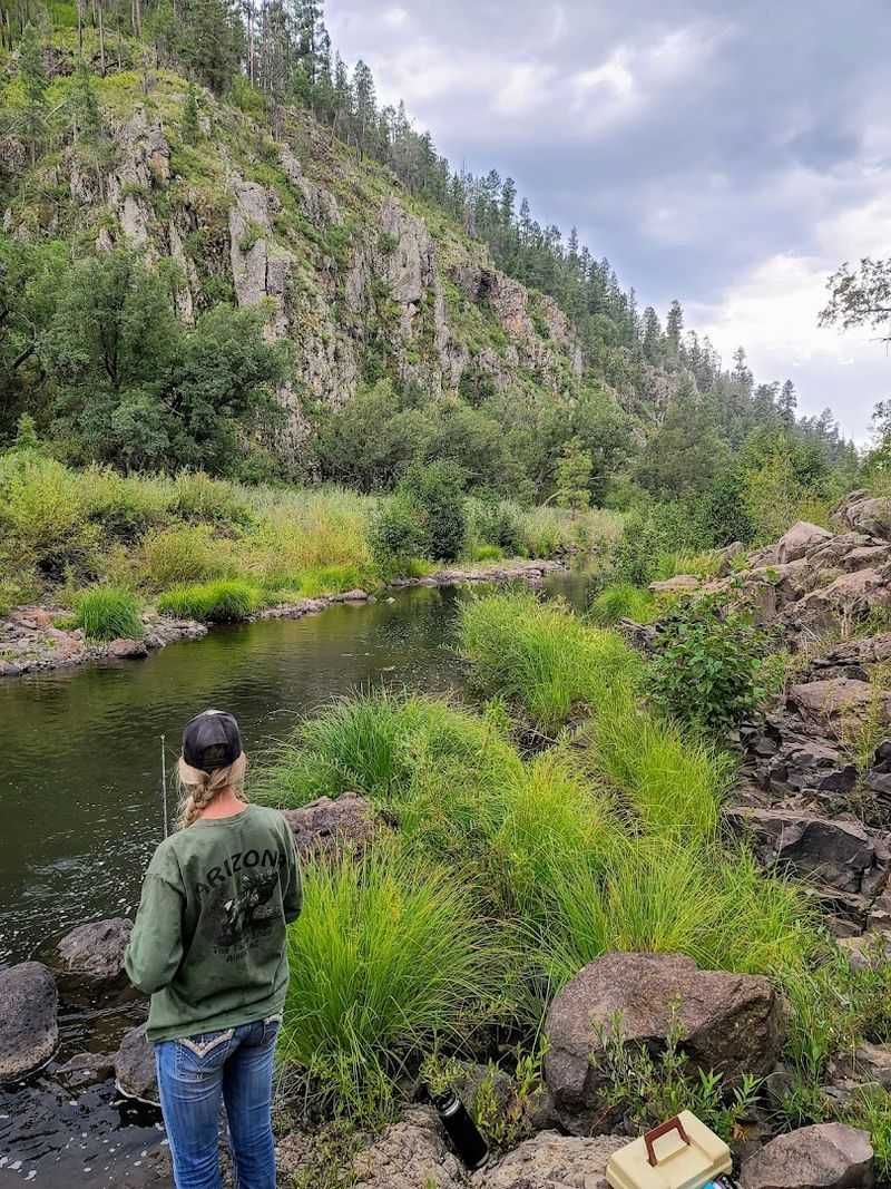 The Black River And Its Native Apache Trout