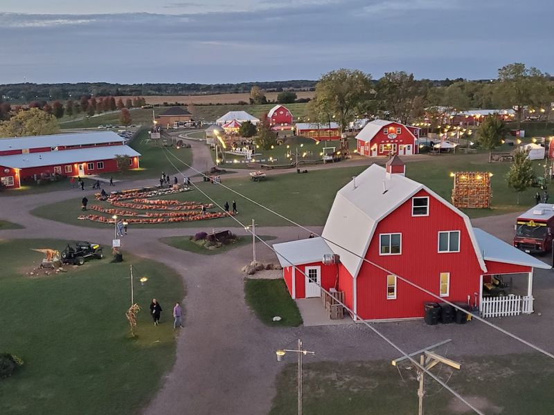 Why This Farm Keeps Drawing People Back?