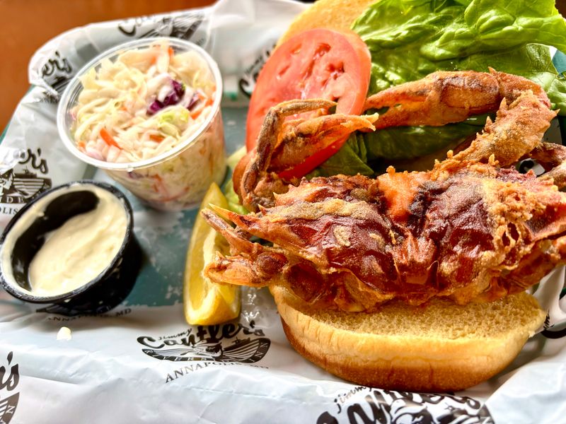 Spice, Steam, And That Chesapeake Snap