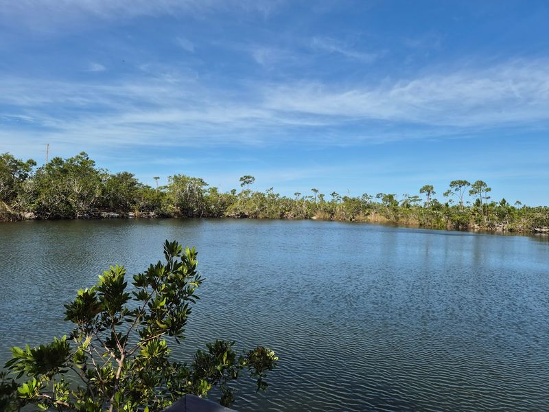 The Blue Hole: A Surprise Freshwater Gem The Blue Hole: A Surprise Freshwater Gem