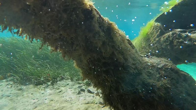 Tubing The Lazy Cathedral