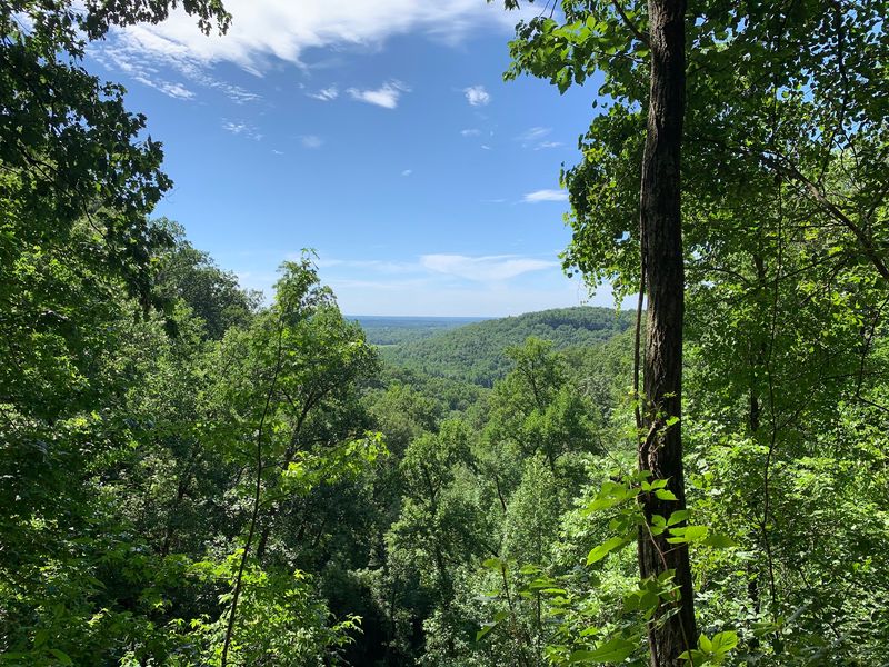 The Blue Ridge Escarpment Creates Scenery That Feels Almost Unreal
