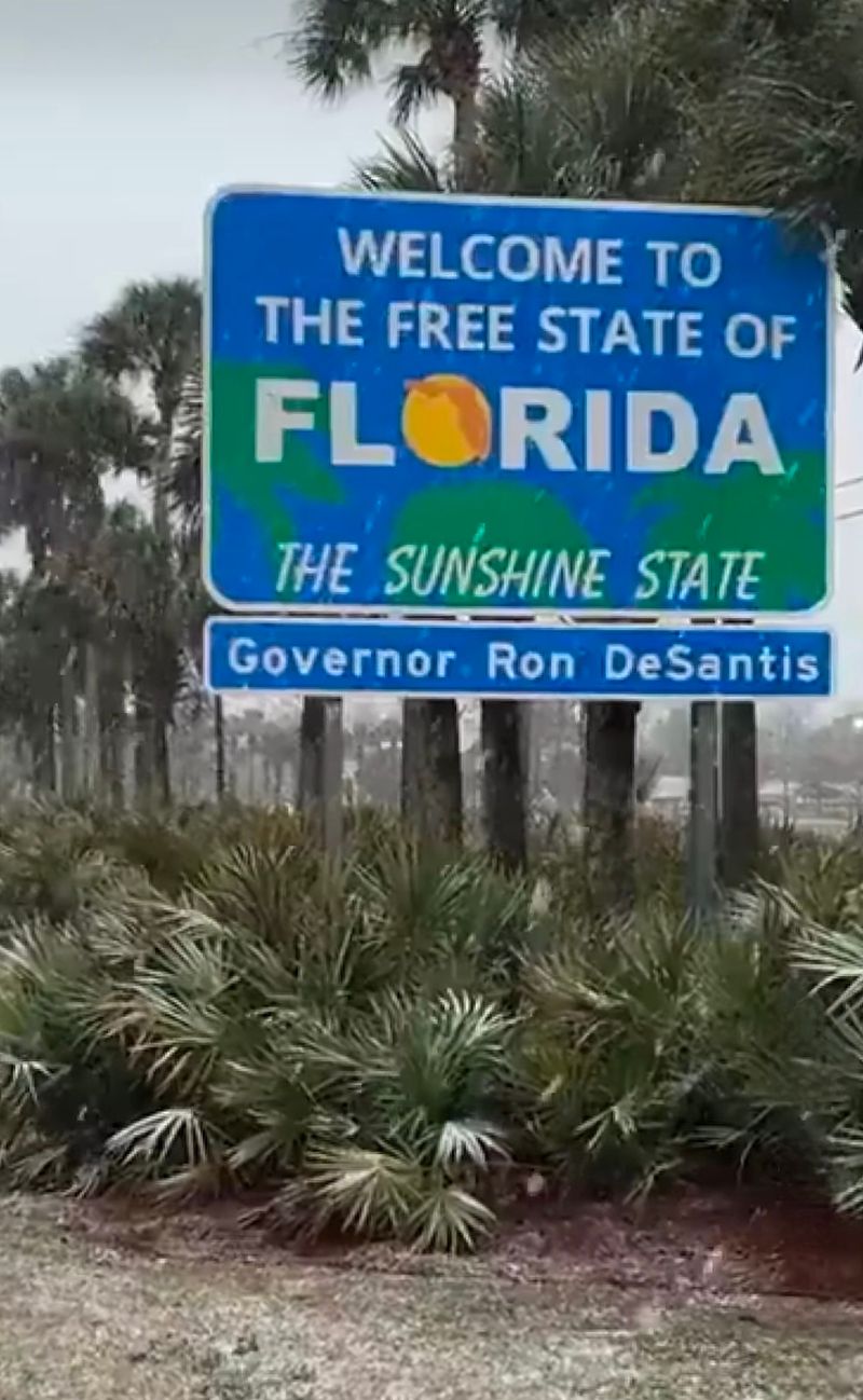 First Impressions In Motion