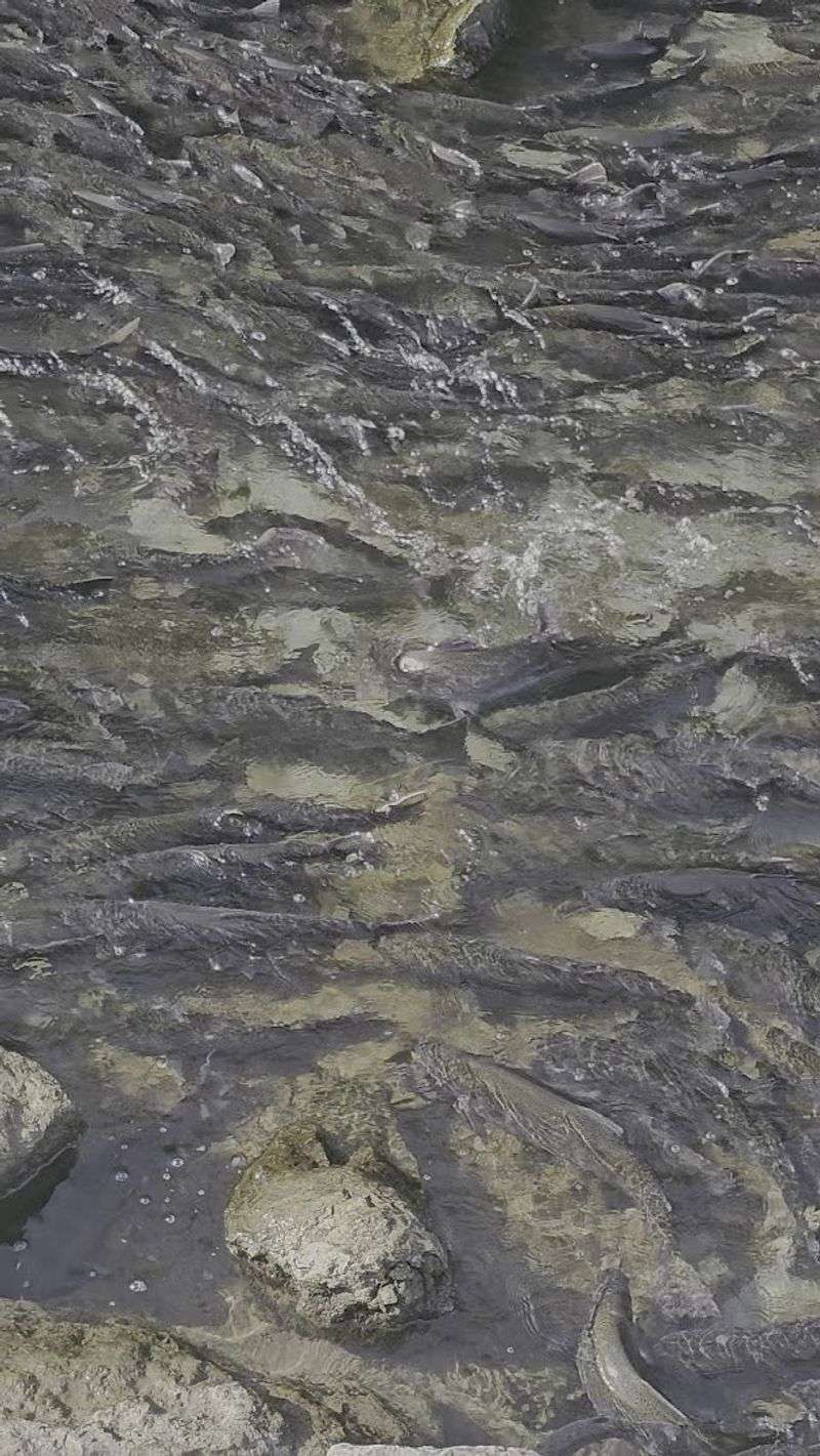 Elk Creek Adds A Whole Second Dimension To The Park