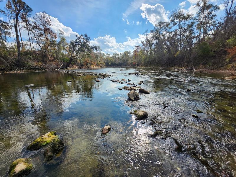 A Nature Trail Leads To A Hidden Sandy Beach On The River