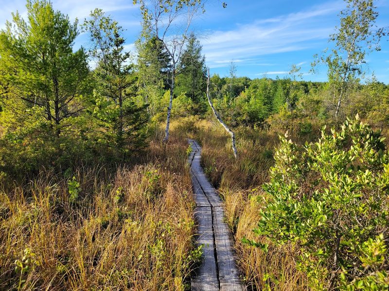 The Boardwalk Is The Trail's Most Practical Feature The Boardwalk Is The Trail's Most Practical Feature