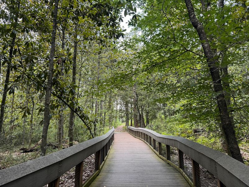 The Boardwalk Makes It Wheelchair Accessible