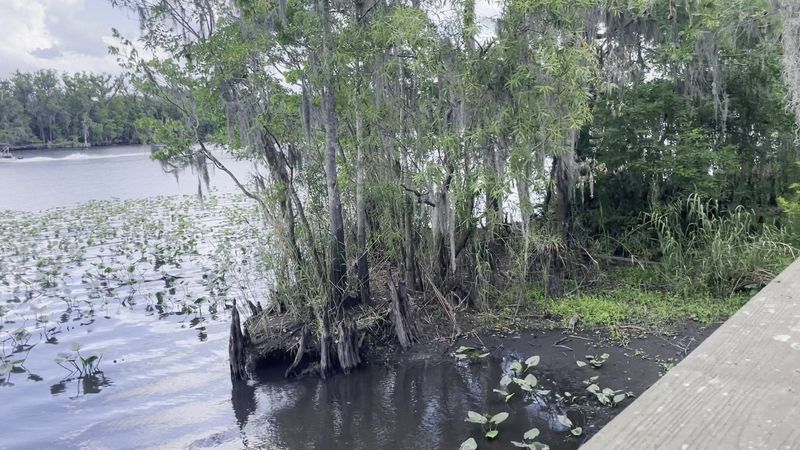 Mile Markers That Keep You Confident And In Control