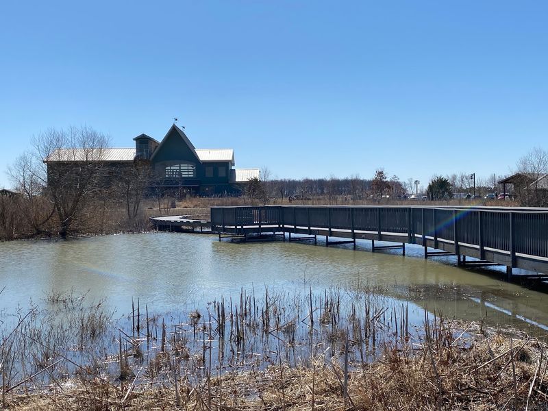 The Boardwalk That Floats Over The Marsh