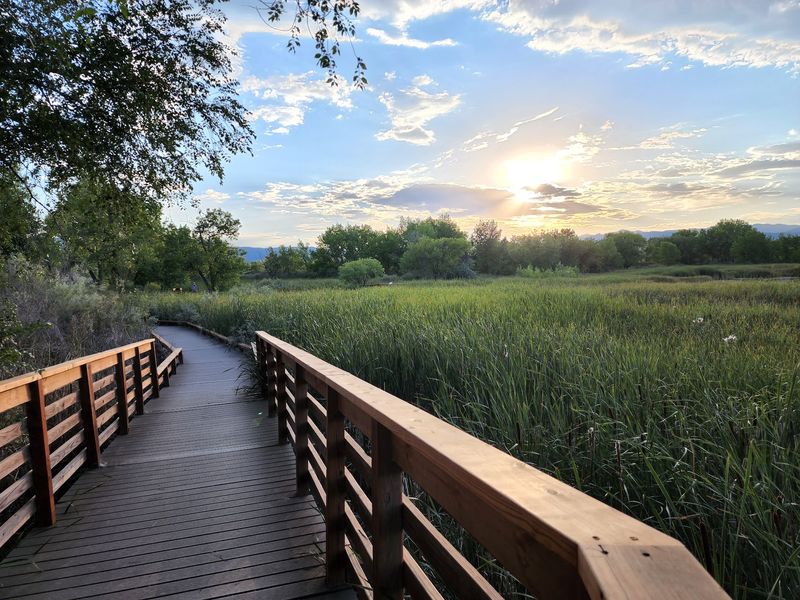 The Boardwalk That Puts You Right In The Middle Of The Wetlands The Boardwalk That Puts You Right In The Middle Of The Wetlands