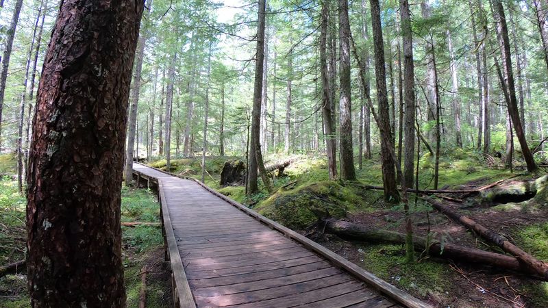 The Boardwalk Trail And Who It Is Perfect For