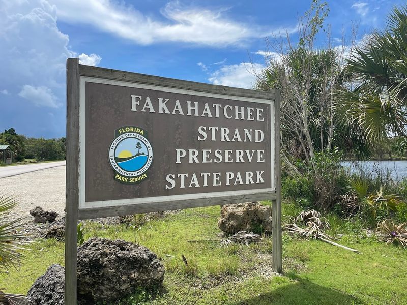 A Bargain Park That Operates on Donations